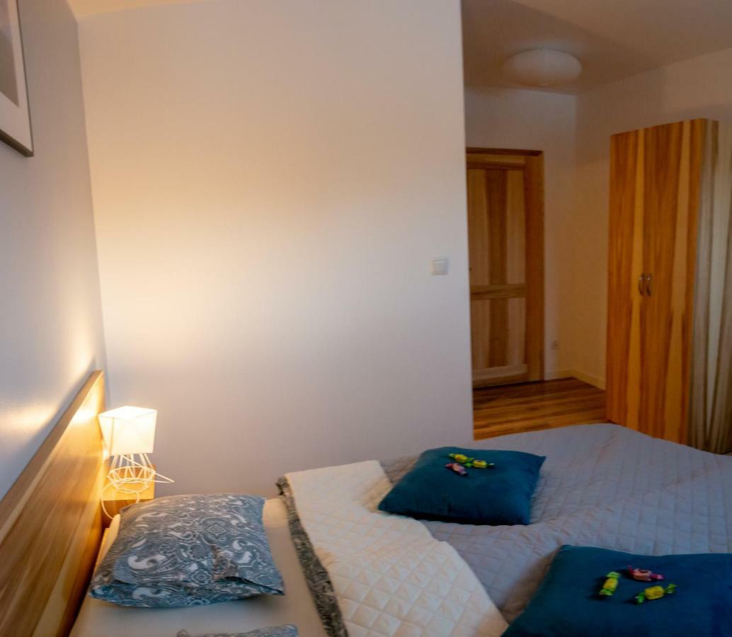 Apartament Przy Deptaku ヴィスワ エクステリア 写真