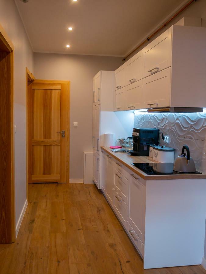 Apartament Przy Deptaku ヴィスワ エクステリア 写真
